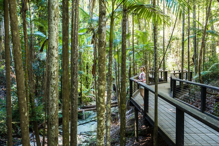 All-Inclusive Fraser Island Day Tour - QLD Tourism